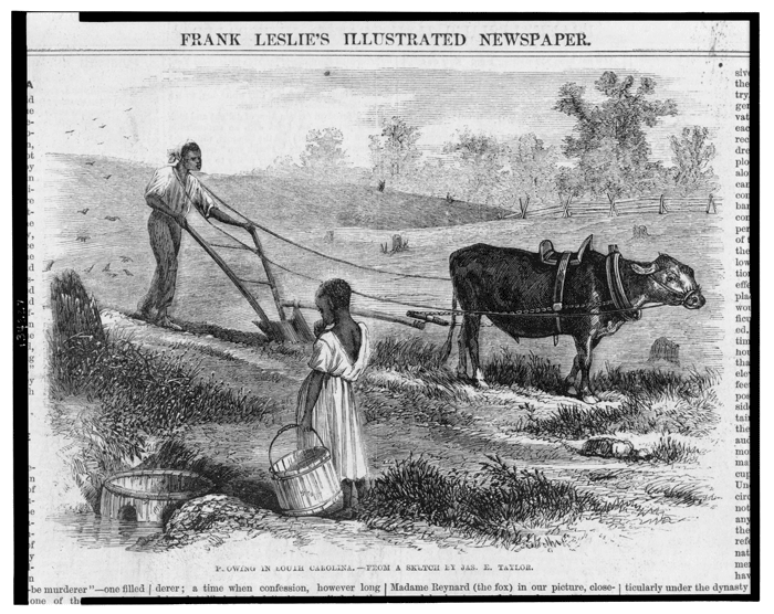 Plowing-in-South-Carolina,-by-Jame-E.-Taylor,-is-from-Frank-Leslie's-Illustrated-Newspaper,-dated-October-20,-1866